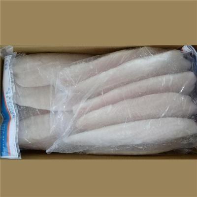 福州進口巴基斯坦水產(chǎn)品代理報關(guān)