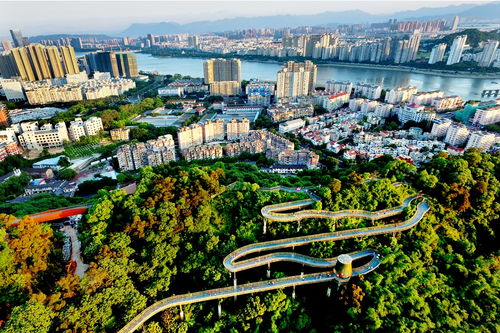 新聞?lì)l道_福州新聞網(wǎng)