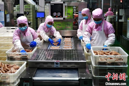 經(jīng)濟(jì)觀察 拼開放 福建深度融入共建 一帶一路