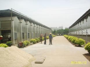 福州陽光板溫室|廈門黑土農(nóng)業(yè)科技_農(nóng)副產(chǎn)品_世界工廠網(wǎng)