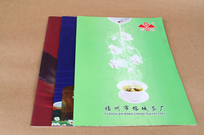 宣傳品設(shè)計(jì)-宣傳畫冊 產(chǎn)品畫冊 企業(yè)畫冊 A416P 500本 公司畫冊 宣傳冊.